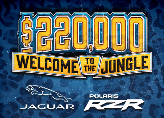 $220,000 Welcome to the Jungle